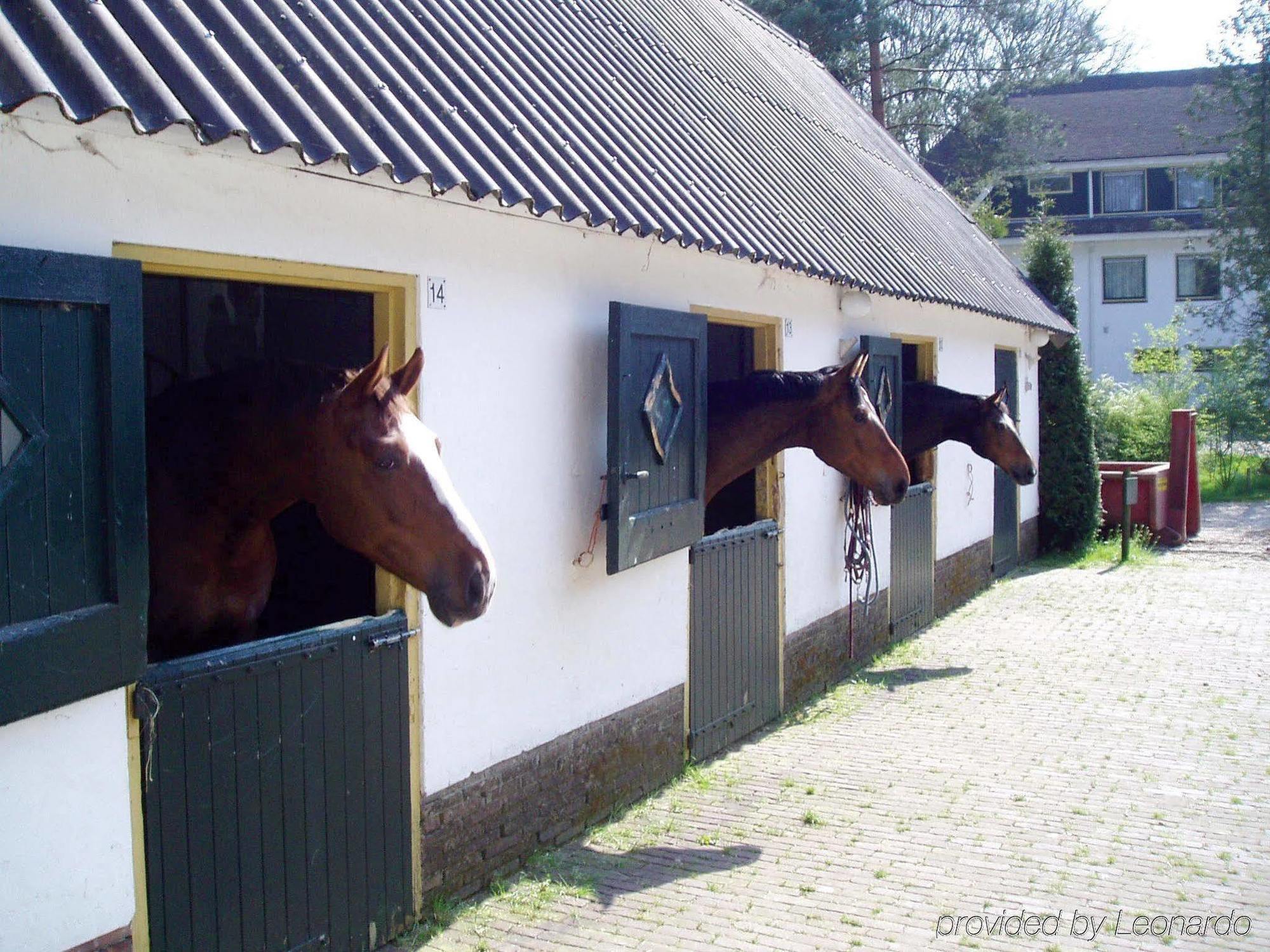 Fletcher Boutique Hotel De Mallejan Vierhouten Eksteriør billede
